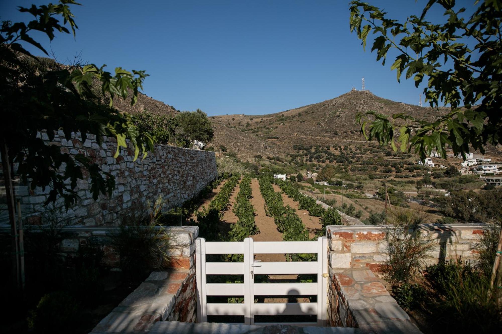 Wow Panoramic View Deluxe Villa Agkidia